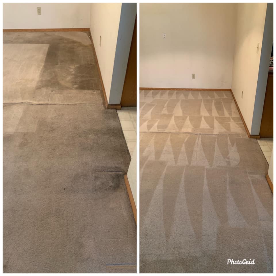 Carpet cleaning before and after