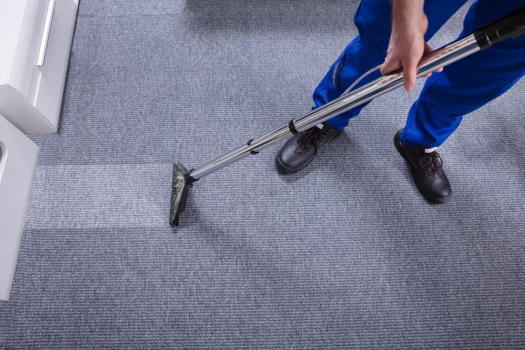 Carpet Cleaning