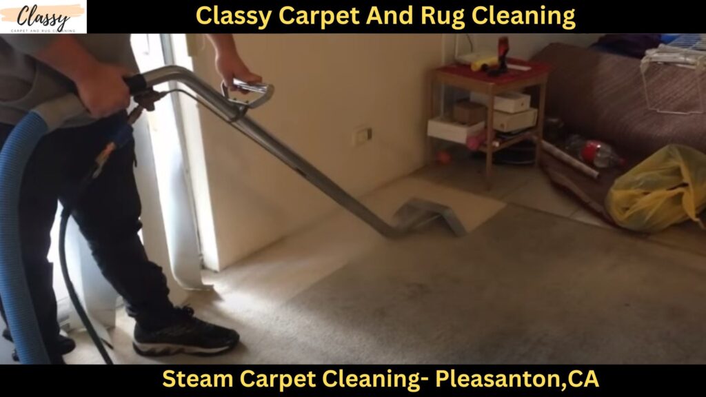 Steam Carpet Cleaning in Pleasanton,CA